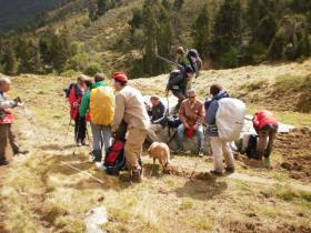 photo coins arrondis