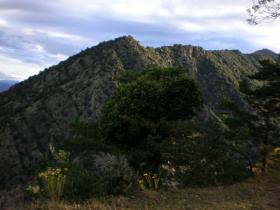 photo coins arrondis