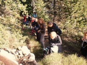 photo coins arrondis