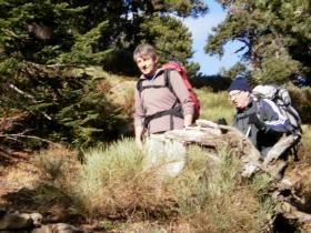 photo coins arrondis