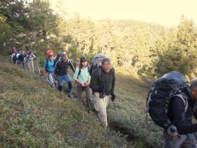 photo coins arrondis