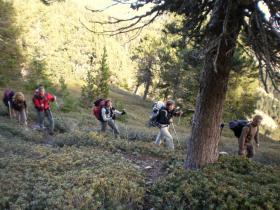 photo coins arrondis