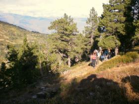 photo coins arrondis