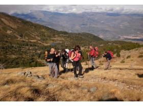 photo coins arrondis