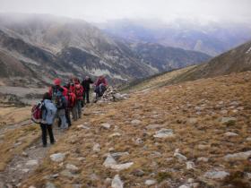 photo coins arrondis