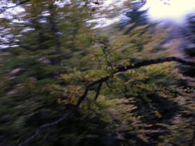 photo coins arrondis