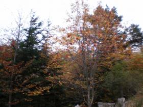 photo coins arrondis