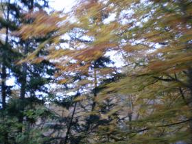 photo coins arrondis