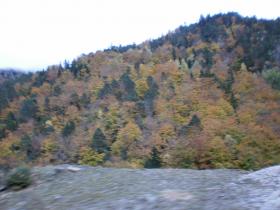 photo coins arrondis