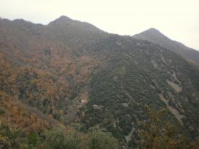 photo coins arrondis