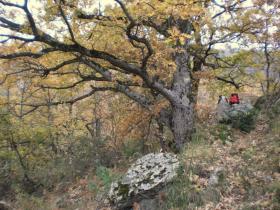 photo coins arrondis