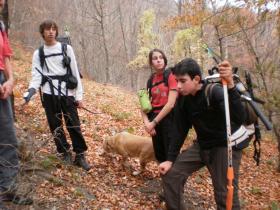 photo coins arrondis