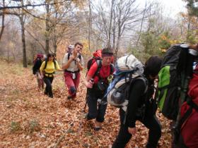 photo coins arrondis