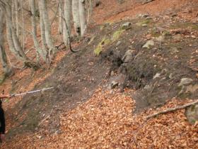 photo coins arrondis