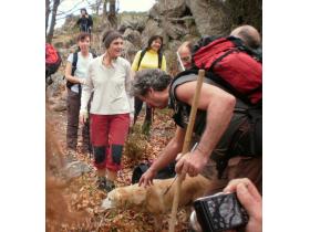 photo coins arrondis