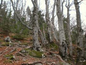 photo coins arrondis