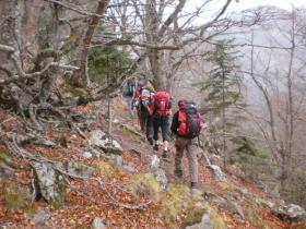 photo coins arrondis