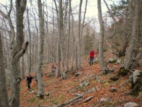 photo coins arrondis