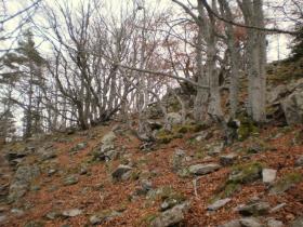 photo coins arrondis