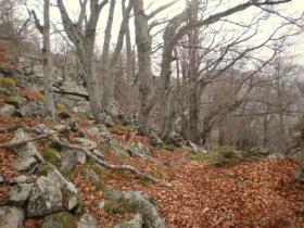 photo coins arrondis