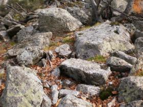 photo coins arrondis