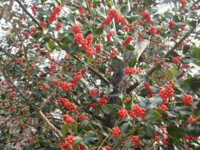 photo coins arrondis