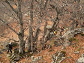 photo coins arrondis