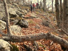 photo coins arrondis