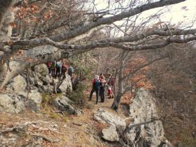 photo coins arrondis