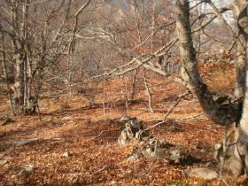 photo coins arrondis