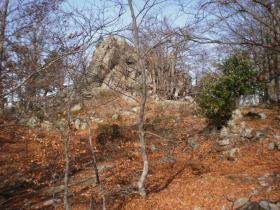 photo coins arrondis