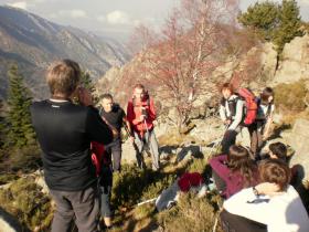 photo coins arrondis