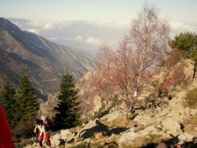 photo coins arrondis