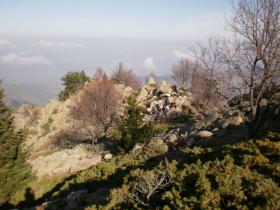 photo coins arrondis