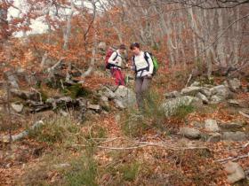 photo coins arrondis