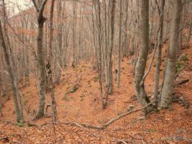 photo coins arrondis