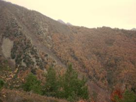 photo coins arrondis