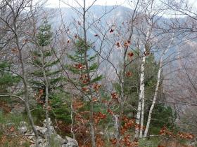 photo coins arrondis