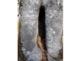 photo coins arrondis