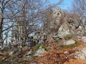 photo coins arrondis