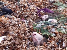 photo coins arrondis