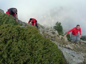 photo coins arrondis