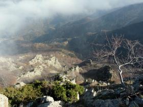 photo coins arrondis