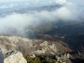 photo coins arrondis