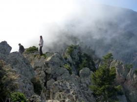 photo coins arrondis