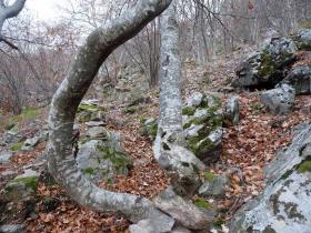 photo coins arrondis