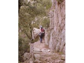 photo coins arrondis