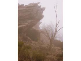 photo coins arrondis