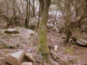 photo coins arrondis