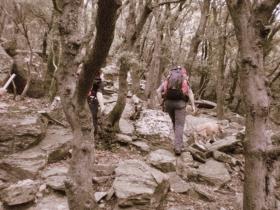 photo coins arrondis